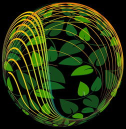 AYXSPORTSAPP-未来青训：生态系统构建助推足球强国梦，足球生态系统建设