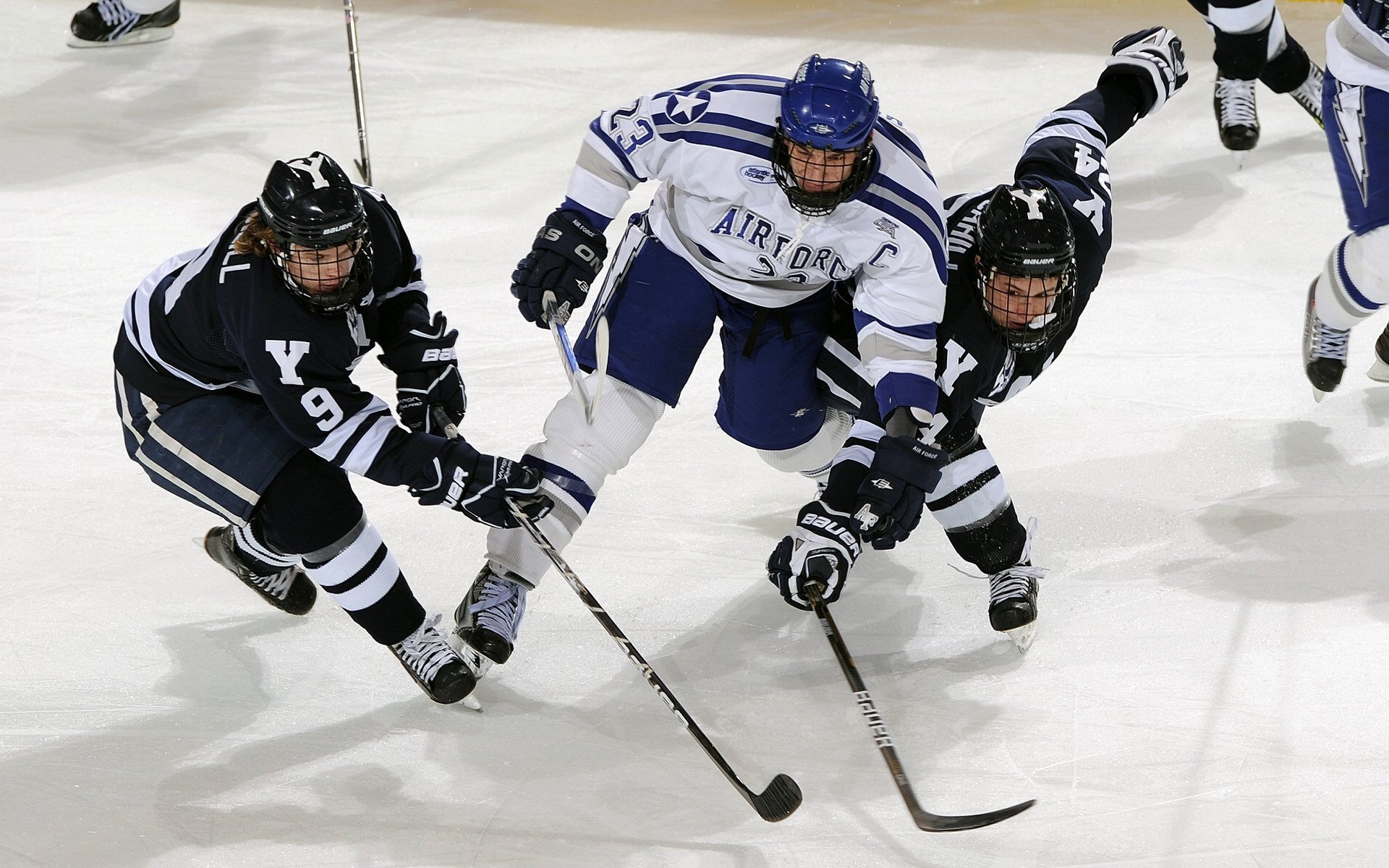 教练揭秘：他们如何打造战无不胜的队伍？，如何打造最强战队