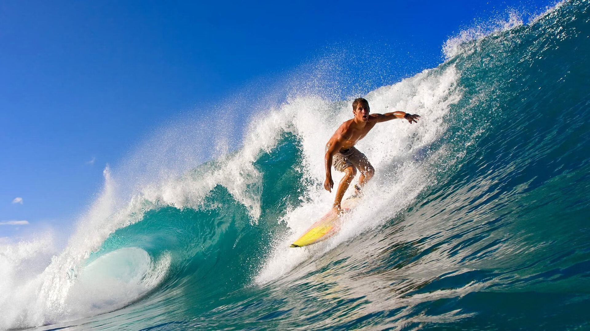 赛事亮点回顾：年度最佳战役赏析，最佳战绩怎么讲